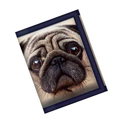 3D Live Life Carlino Pug Funda de carn&eacute;, 10 cm, Multicolor (Multicolore)