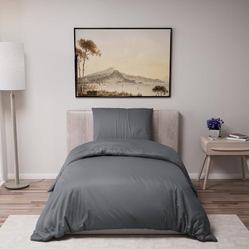 Dreamzie Funda N&oacute;rdica Cama 90 &ndash; Ropa de Cama Microfibra Suave Oeko-Tex - Juego de Funda Edredon...