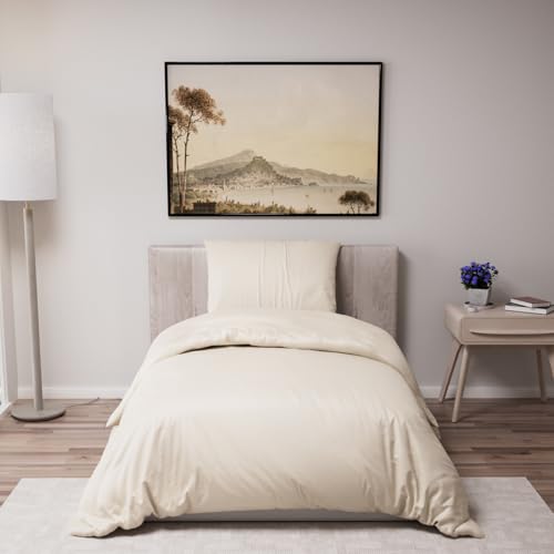 Dreamzie Funda N&oacute;rdica Cama 90 &ndash; Ropa de Cama Microfibra Suave Oeko-Tex - Juego de Funda Edredon...