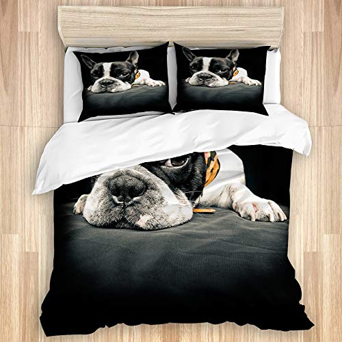 SUHETI Bedding Juego Funda Edred&oacute;n,Lindo Mentira Bulldog Franc&eacute;s Divertido,Microfibra Funda...