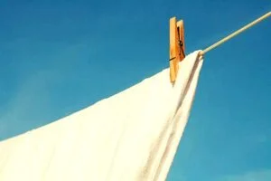 N&oacute;rdico secar
